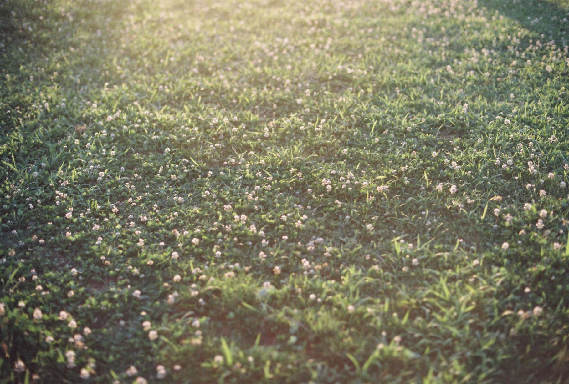 printimg8_20250302125910203.jpg
